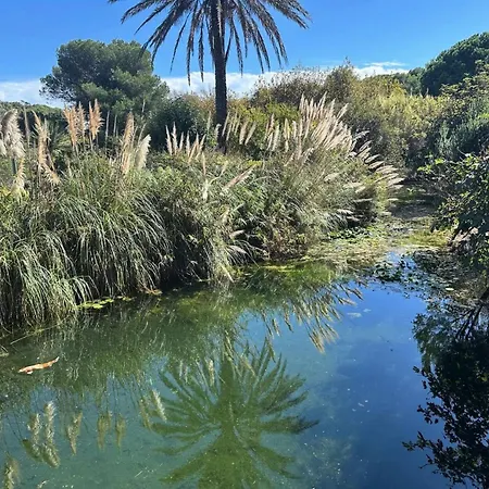 Rivages - T2 Dans Le Domaine De La Coudouliere A Deux Pas De La Mae-0721 Six-Fours-les-Plages